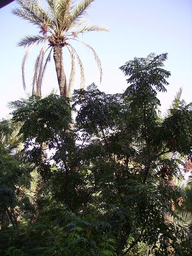 公寓 Appart Avec Vue Jardin/Majorelle 马拉喀什