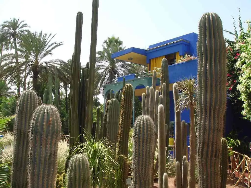 Appart Avec Vue Jardin/Majorelle 马拉喀什 摩洛哥