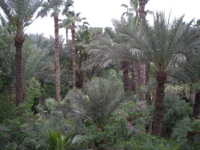 Appart Avec Vue Jardin/Majorelle 马拉喀什